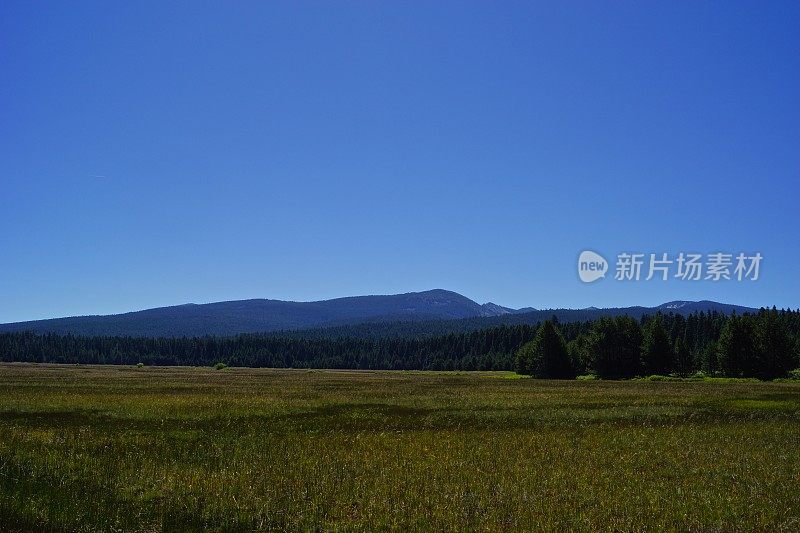 太。迈克劳林草地