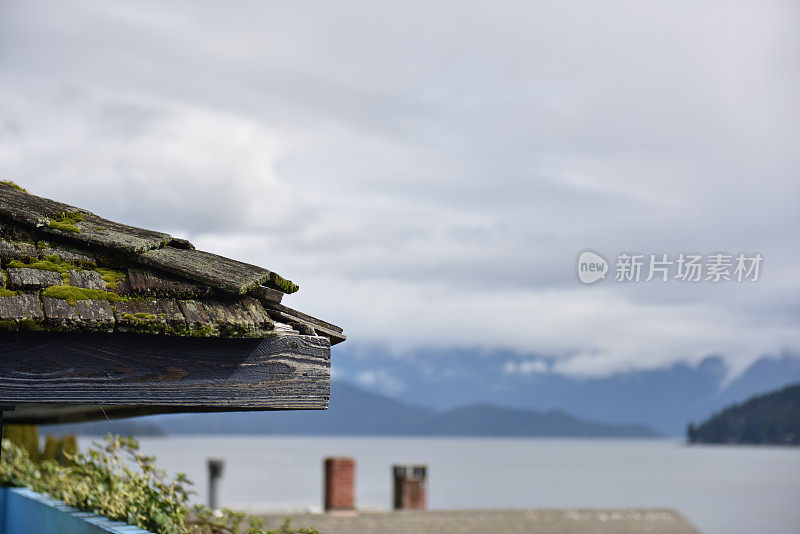 长满青苔的雪松屋顶