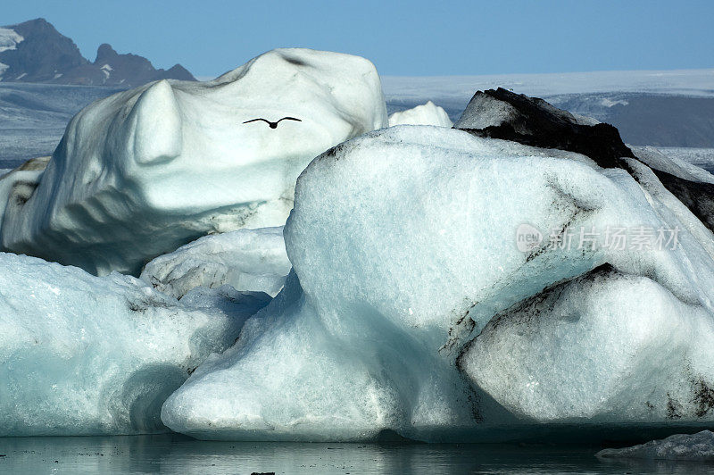 冰山在Jokulsarlon泻湖