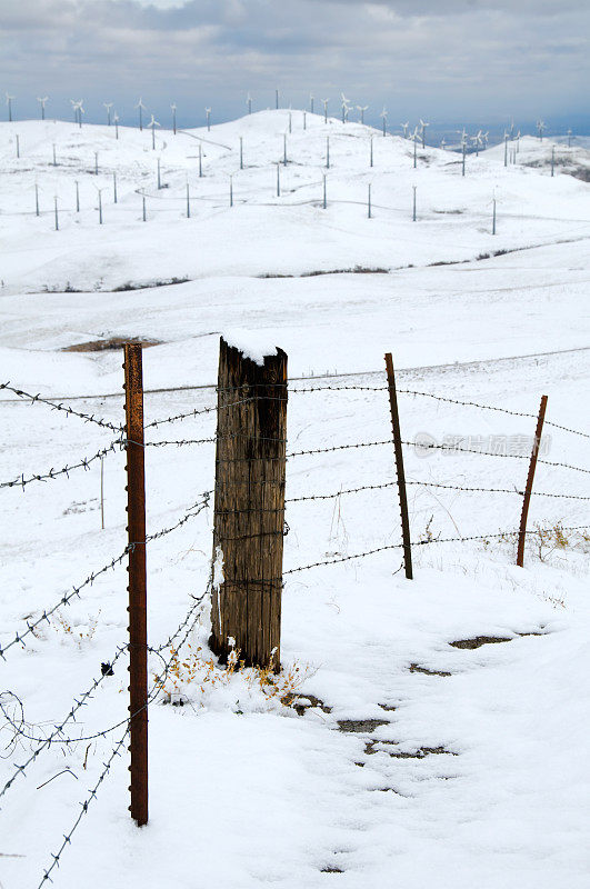 雪中的风电场