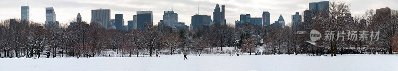 冬天的纽约中央公园全景图