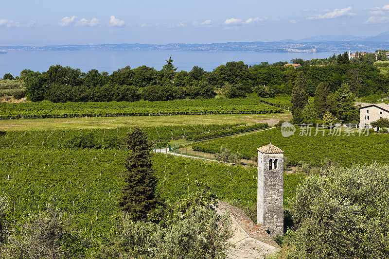 Bardolino葡萄园俯瞰加尔达湖，意大利