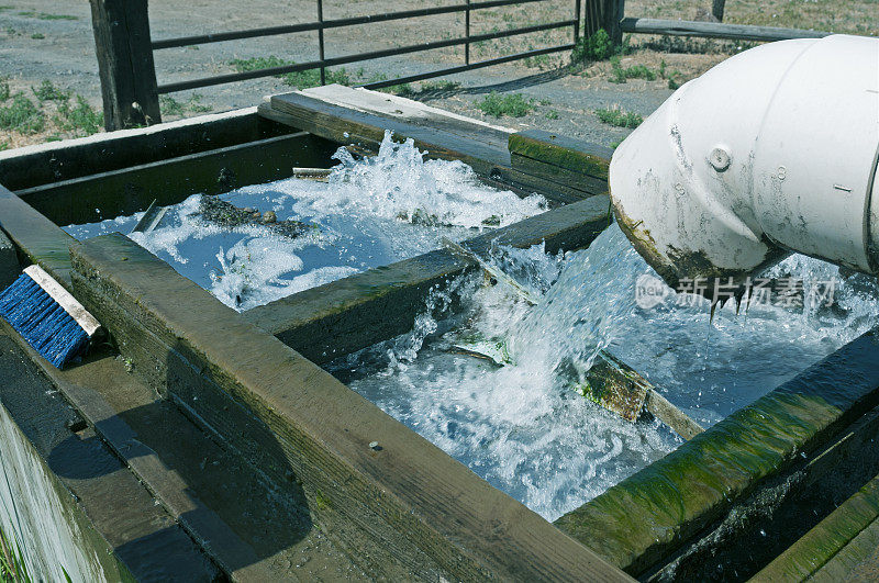 水从农用渠道通过管道注入井中