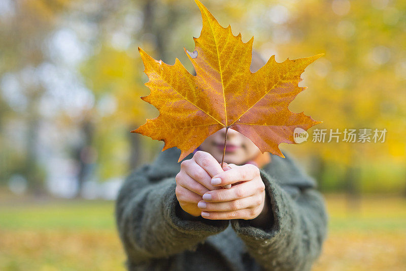 《和枫叶在一起的女人