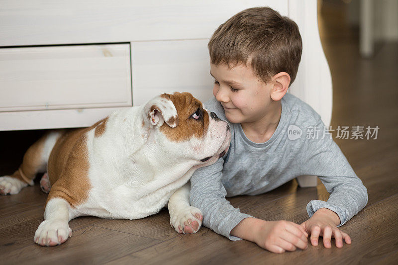 可爱的小男孩和英国斗牛犬的小狗在地毯上玩耍