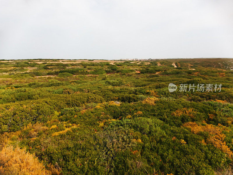 希斯海岸景观