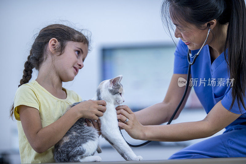 小女孩带着她的猫去看兽医