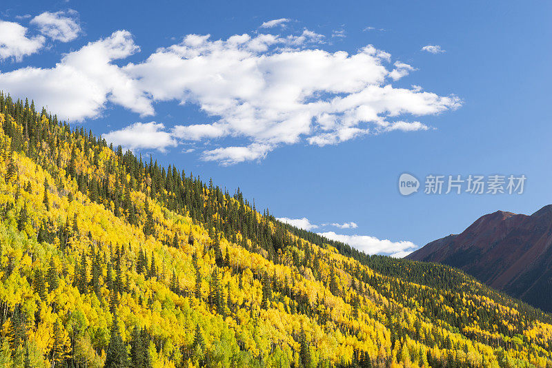 科罗拉多州百万美元高速公路上的秋景