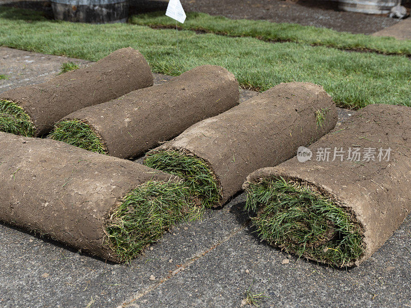 在人行道上铺设即时绿色草坪的草皮卷