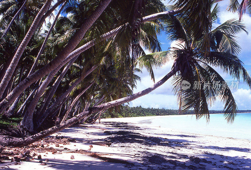 亚太马绍尔群岛一个环礁上的沙滩和泻湖