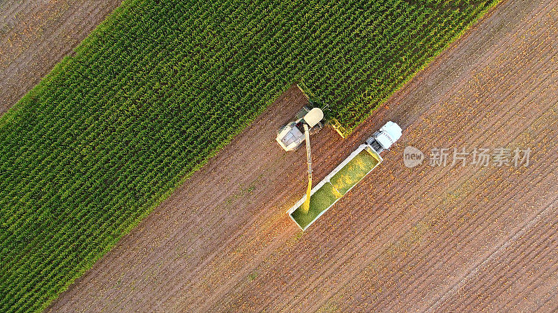 拖拉机和农机在秋天收割玉米