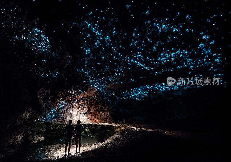 一对情侣站在新西兰外普洞穴的萤火虫天空下