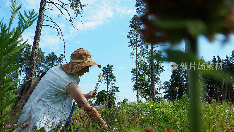 一位妇女在森林附近散步时正在采摘野花
