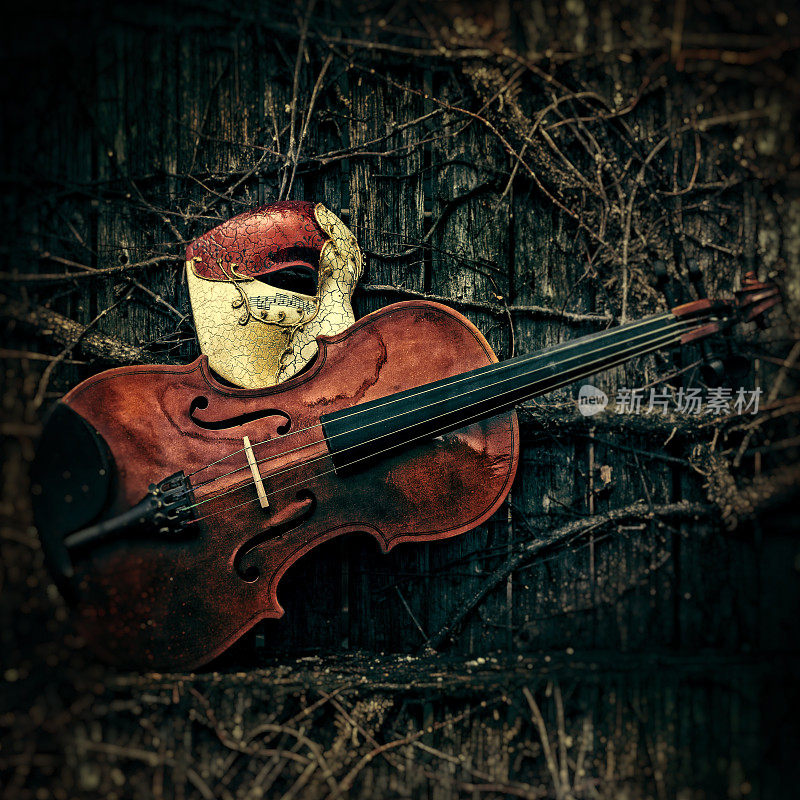 假面舞会-歌剧魅影面具与小提琴