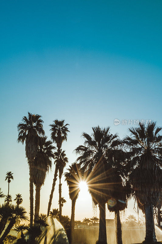 棕榈泉戏剧性的日落天空景观