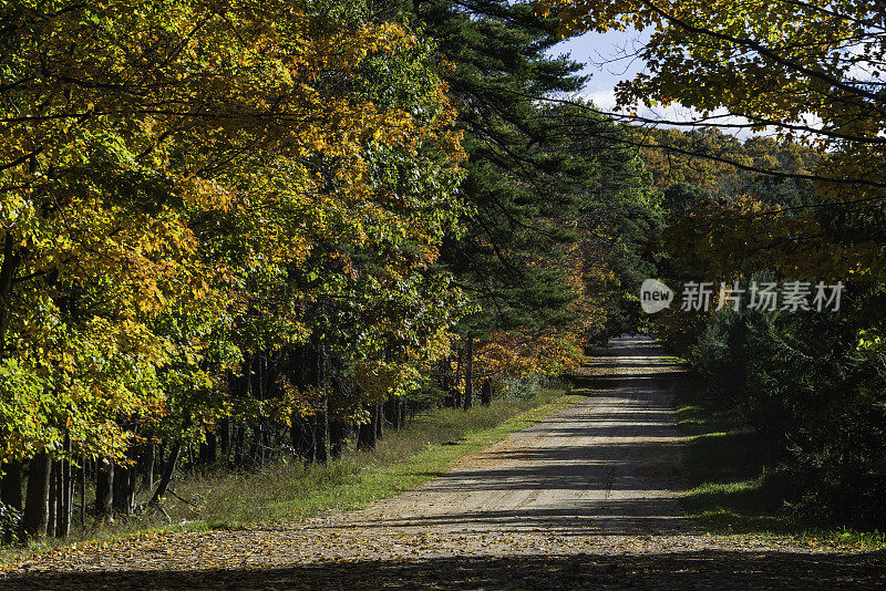 秋季公路旅行，密歇根州