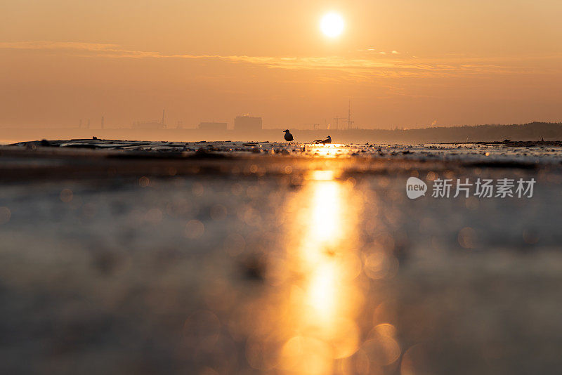 冬季日出时的波罗的海海滩