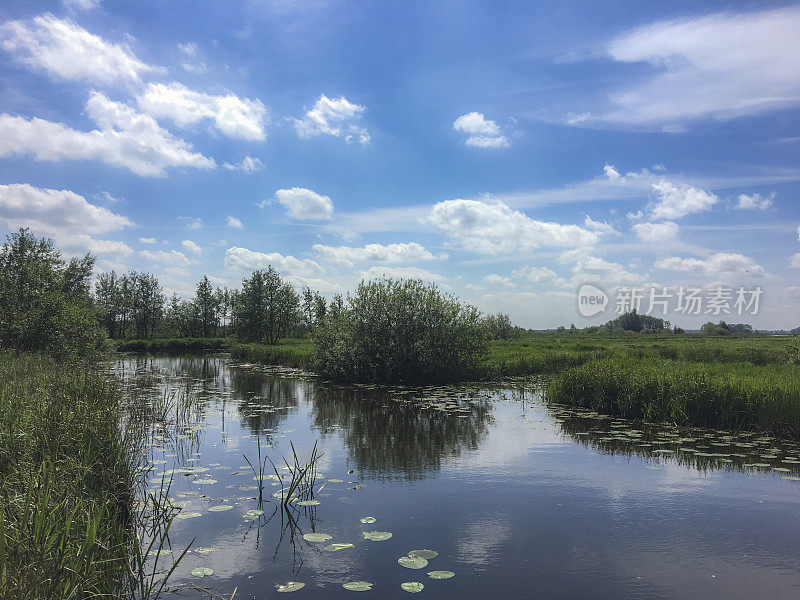 在美丽的夏日结束时，韦尔里本-维登自然保护区的一条小河上的夏日景色