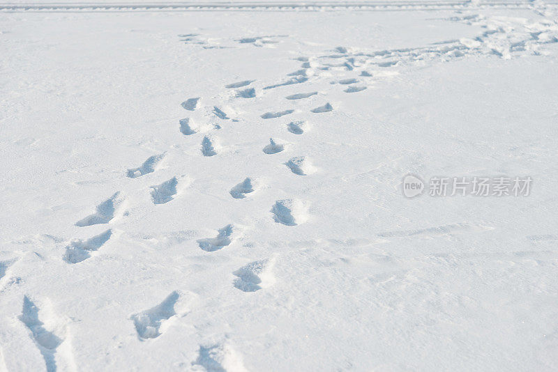 雪地里的脚印