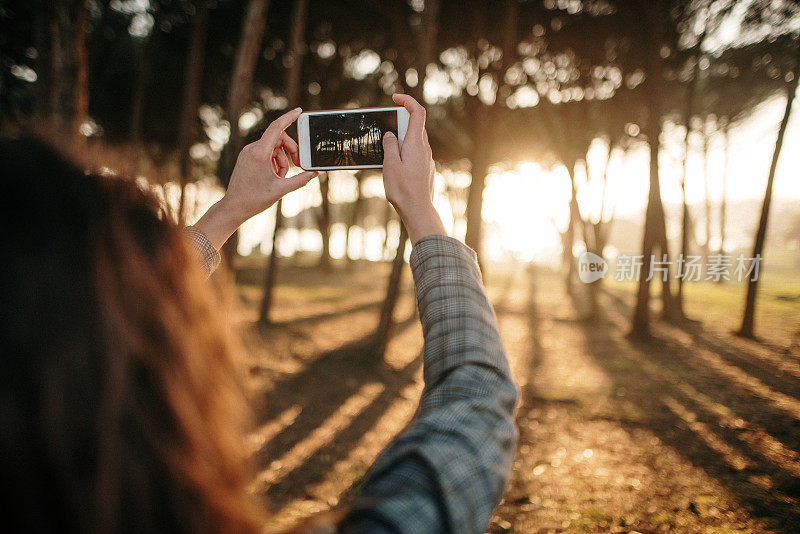 一名年轻女子用智能手机拍摄日落时分的森林