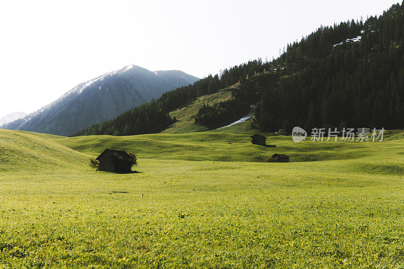 美丽的高山草甸与山上的小屋在日出的奥地利