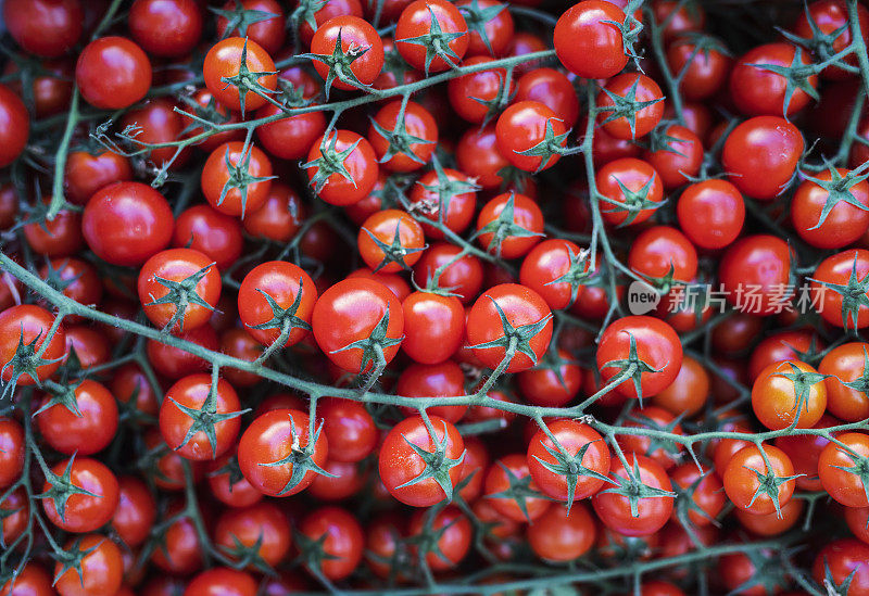 全画面拍摄在市场摊位上的樱桃番茄