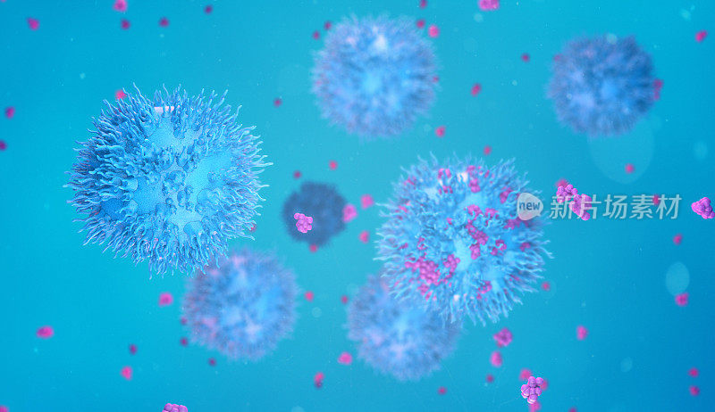 淋巴细胞，t细胞或癌细胞的蛋白质
