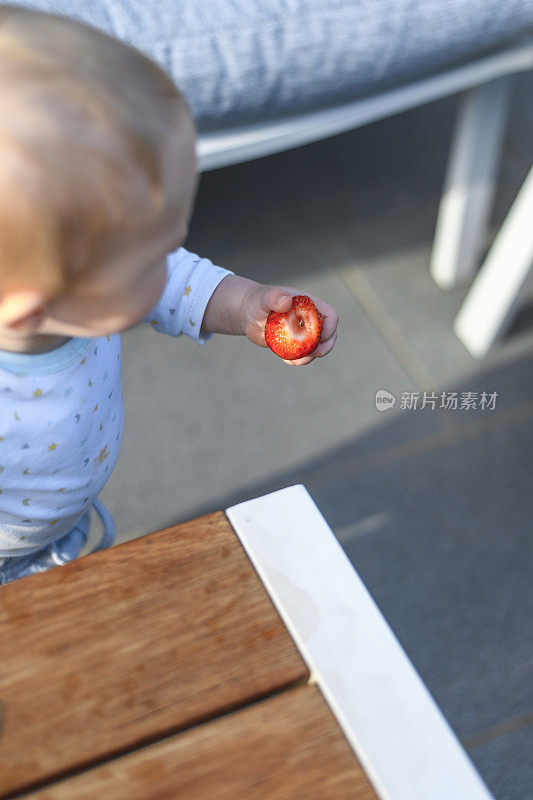高加索男婴在室外研究草莓的形状和质地