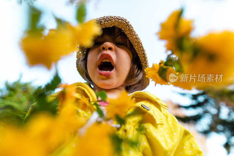 迷人的女孩在玩弄黄色郁金香时，花粉过敏而打喷嚏