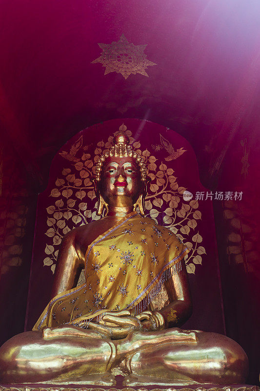 泰国清迈的金佛雕像