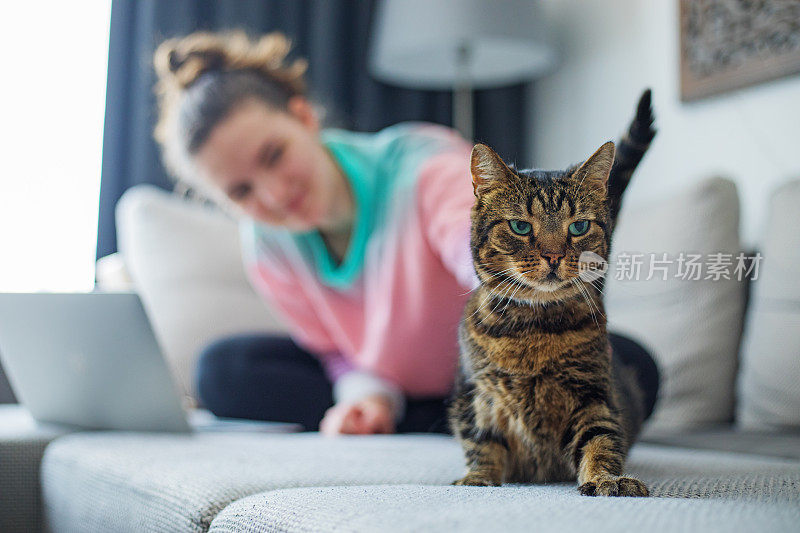 少女和她的宠物猫