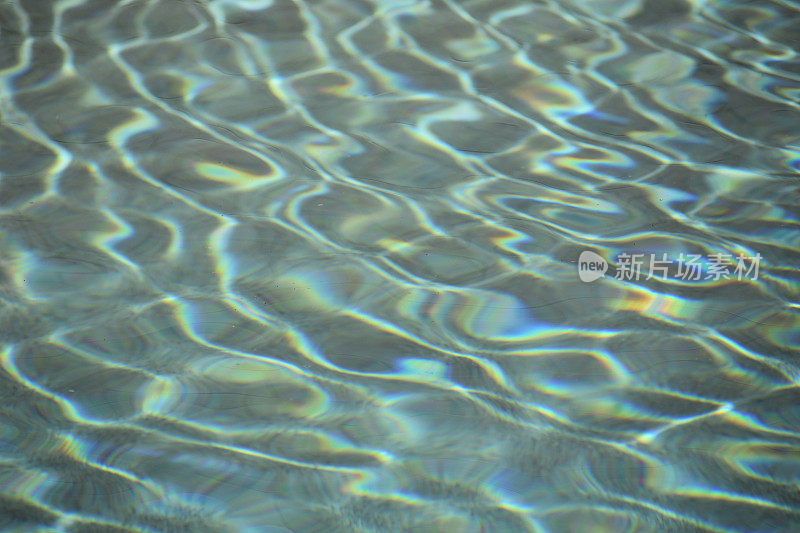 阳光在池水里反射出涟漪