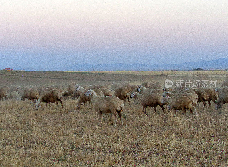 草原风景