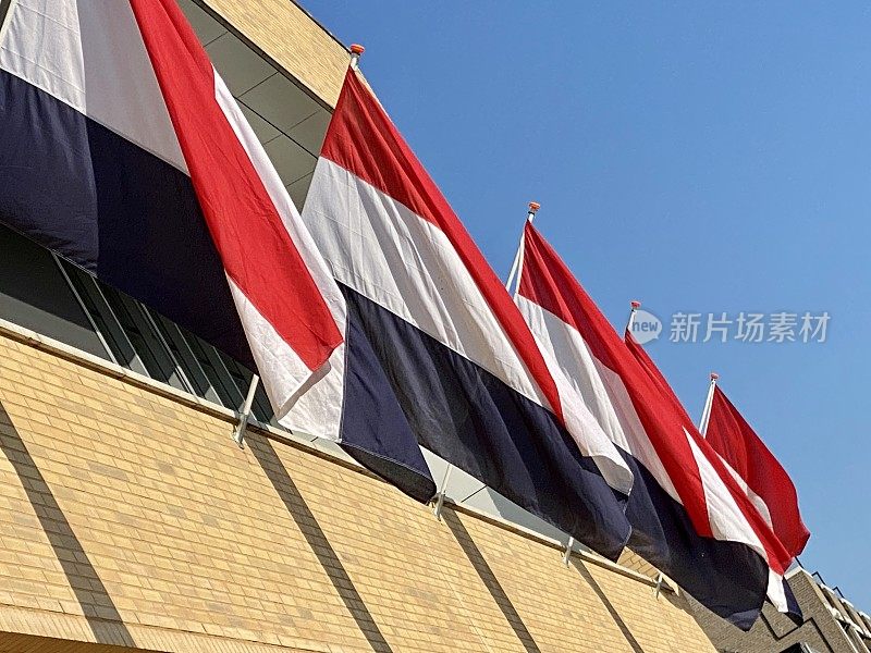 荷兰国旗游行