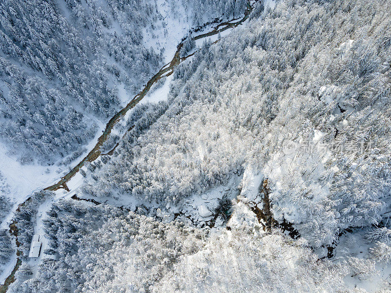 雪道和河流通过冬季森林，鸟瞰