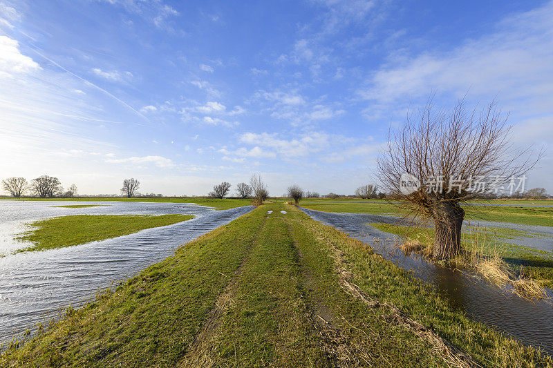 在IJsseldelta的Scheerenwelle自然保护区的全景