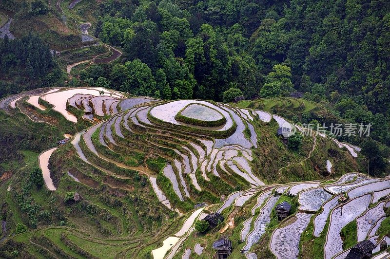 贵州,China-Colorful梯田