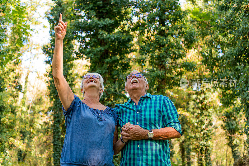 一对老年夫妇正一起穿过秋日的树林。这个女人和她的丈夫手挽着手