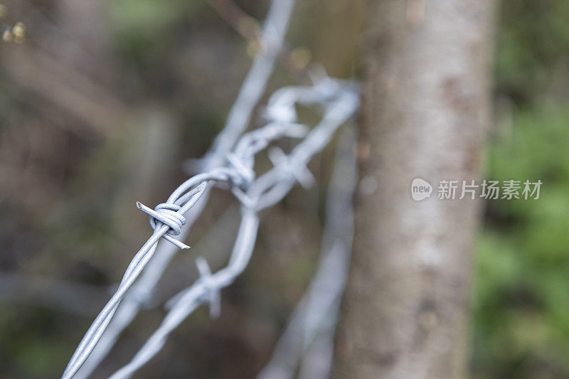 特写的一个有刺的铁丝网篱笆在农村，与浅的景深