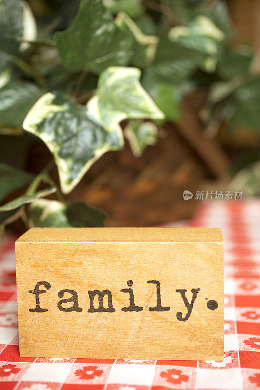 用打字机字体写着家庭的木块坐在红色格子桌布上。木块周围更绿。