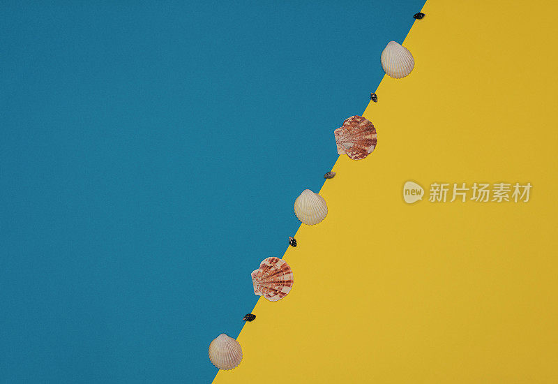 在明亮的黄色和蓝色背景上排成一排不同的海贝壳。夏日时光，极简主义理念。平铺风格与复制空间