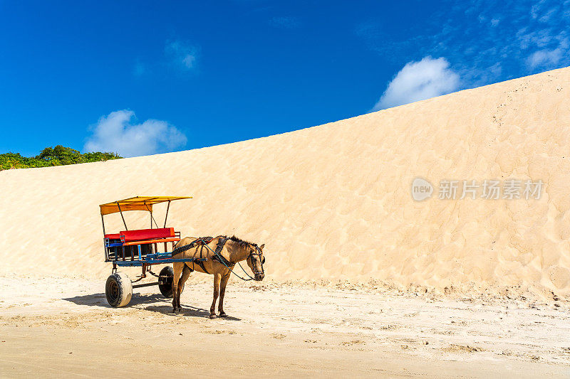 荒凉的巴西海滩上的马车