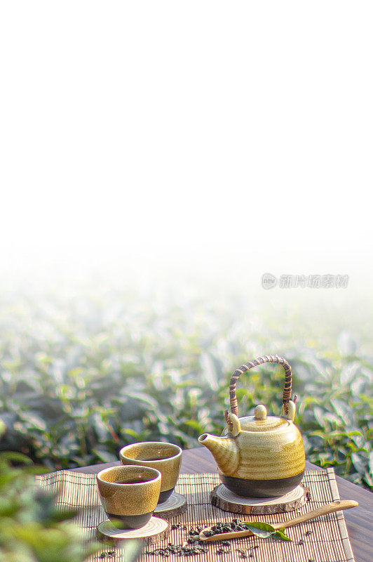 在茶园旁品茗着中国茶壶和茶杯富有禅意
