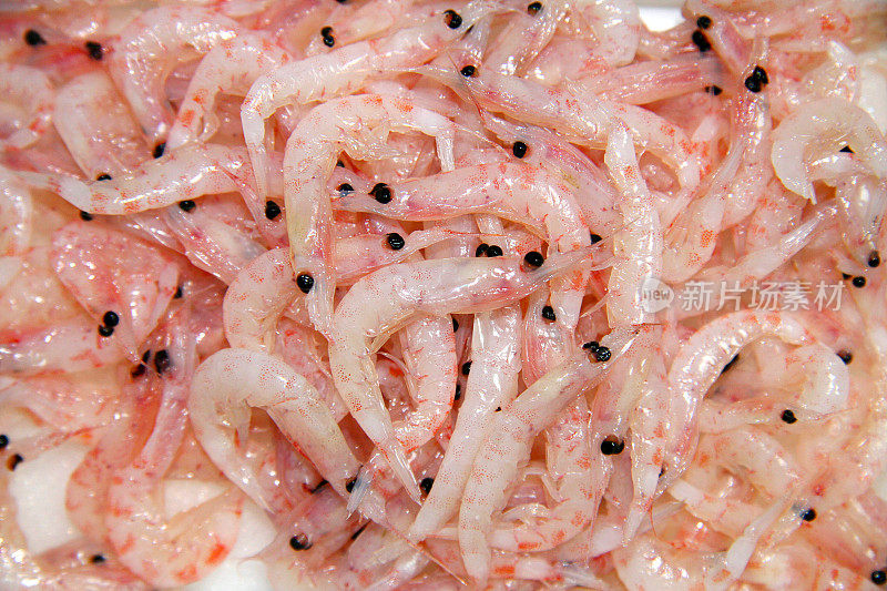 白色塑料托盘上的磷虾(euphasiid)鱼饵的特写。