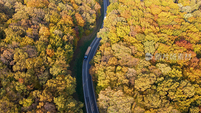 高速公路上的卡车驶过森林景观