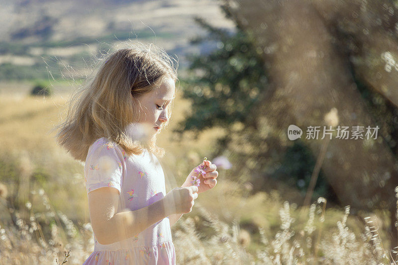 一个金发的年轻女孩正在田野里看花