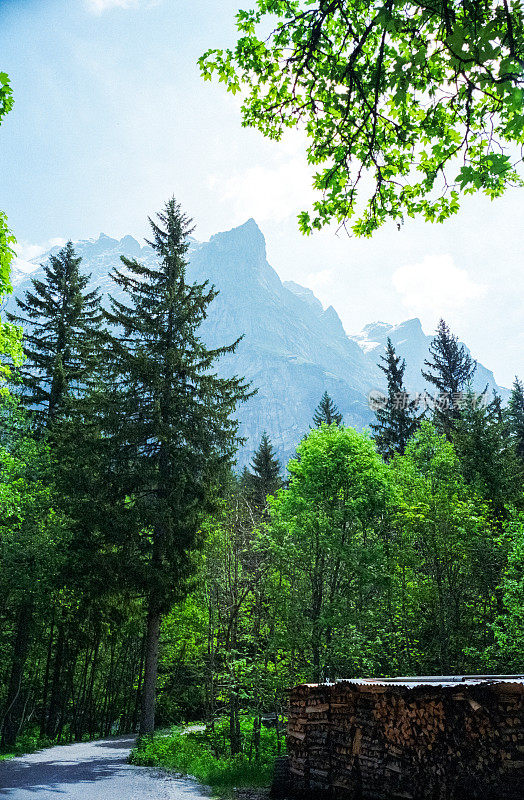 瑞士阿尔卑斯山