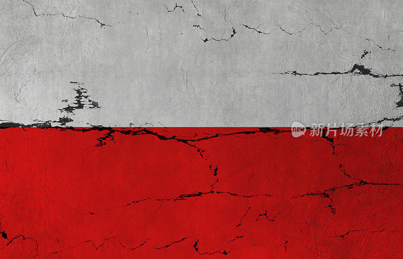 裂缝墙上的波兰国旗