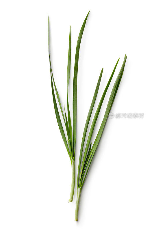 新鲜香草:白色背景分离的大蒜香葱