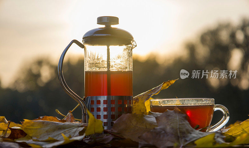 茶壶与茶和杯近秋叶。